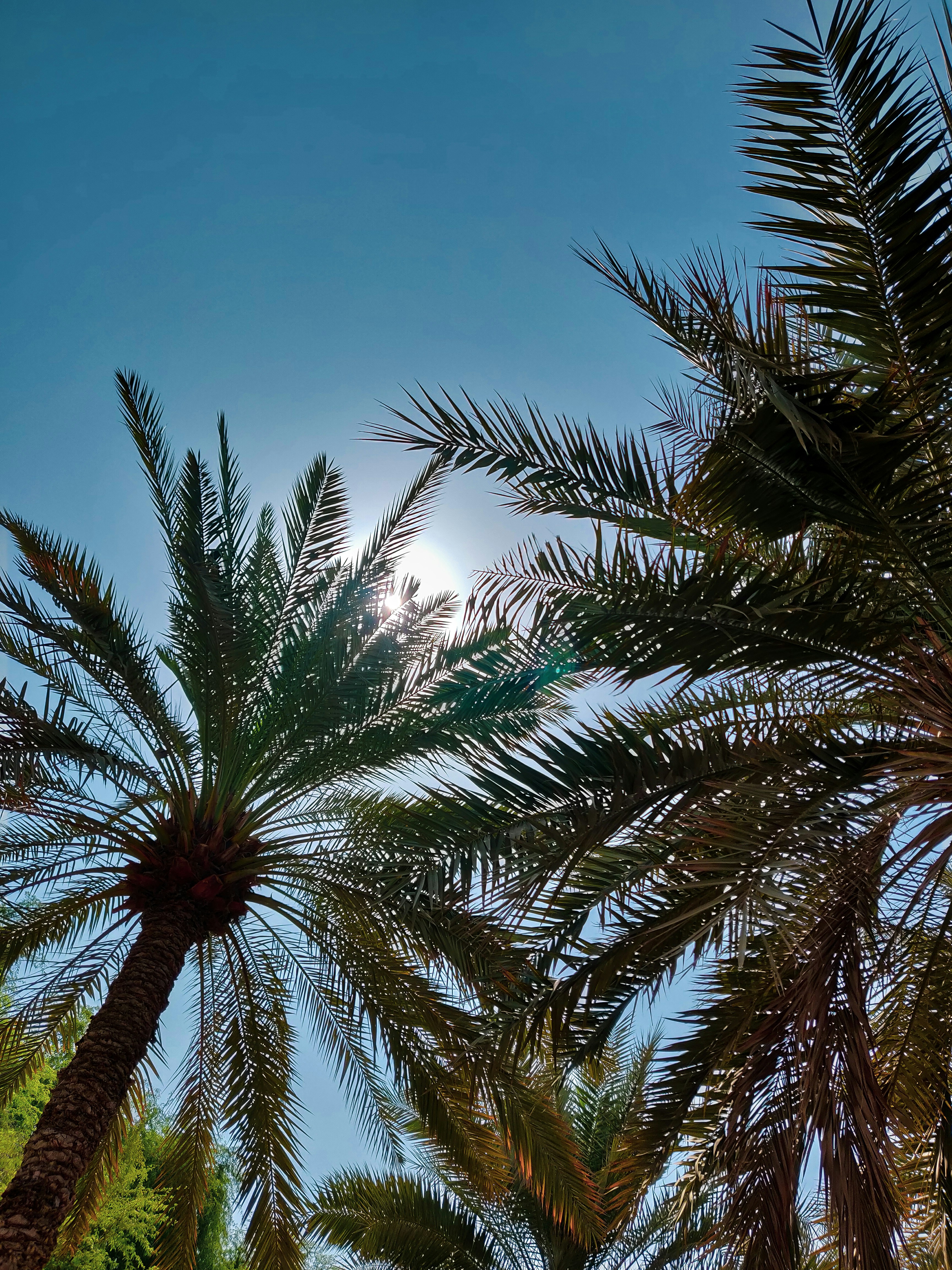 Photo by omair_parvez