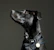 Close-up of a medium-sized dog proudly showing its shiny aluminum engraved pet ID tag.