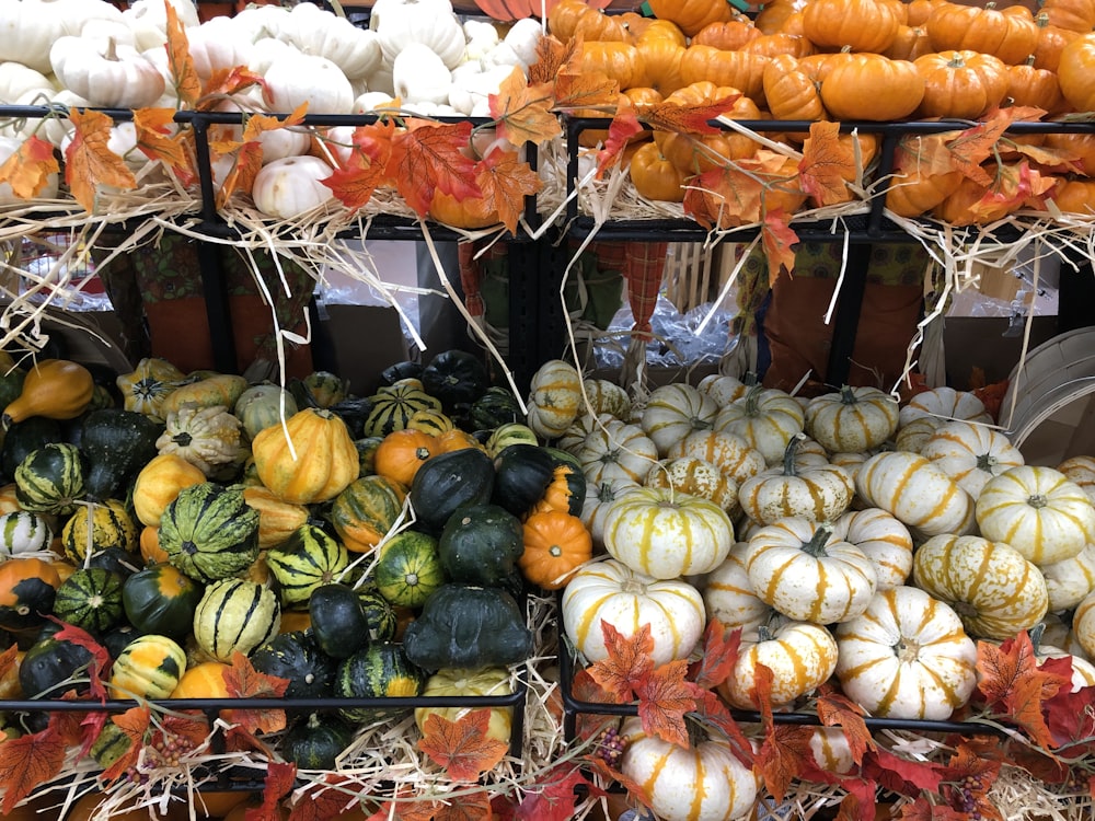 assorted vegetables on rack