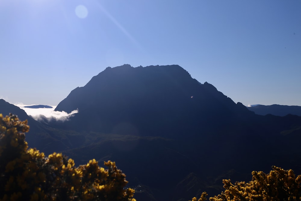 mountain slope during daytime