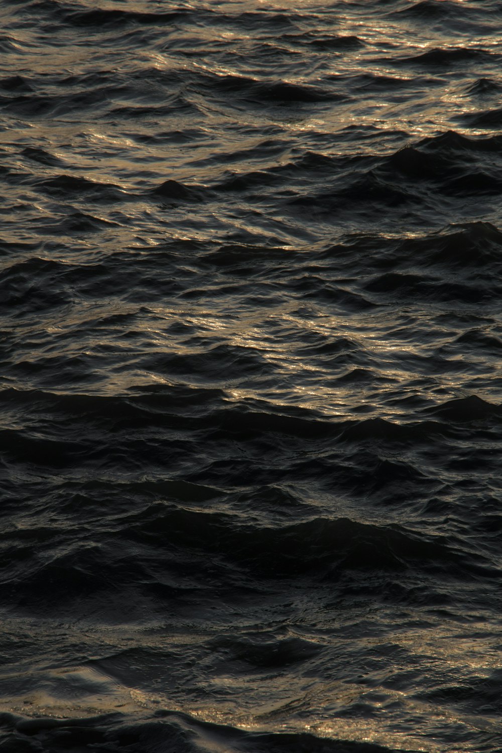 macro photography of body of water