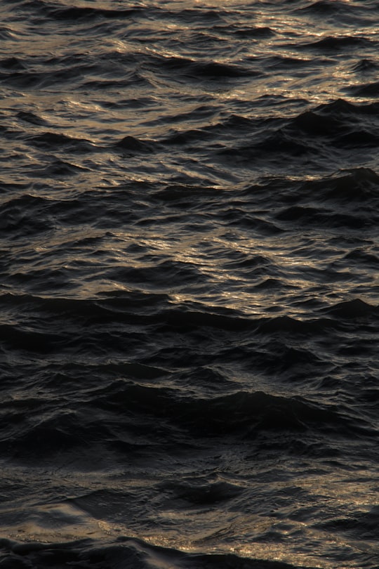 macro photography of body of water in La Rochelle France