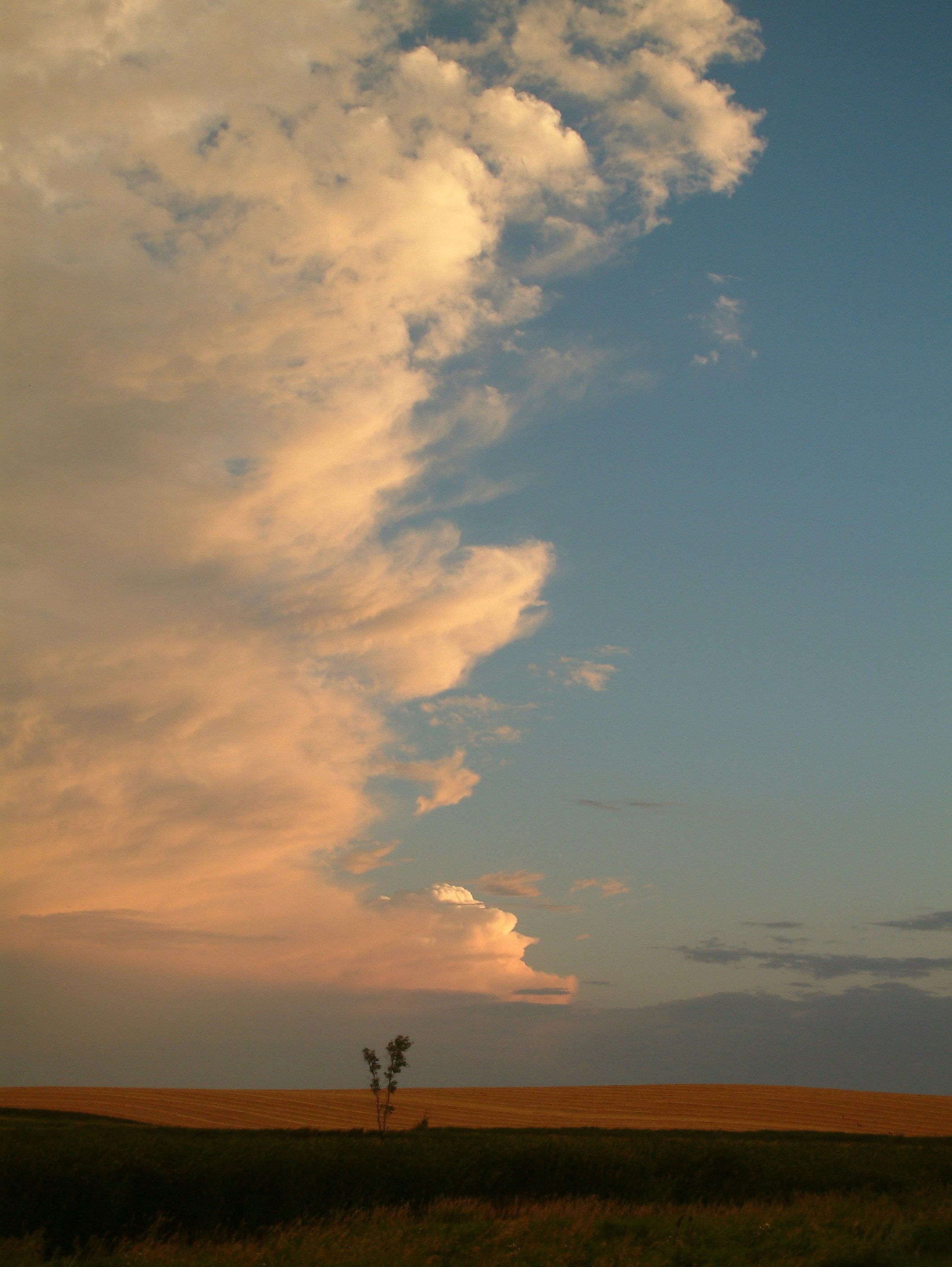 Photo by banana_nana