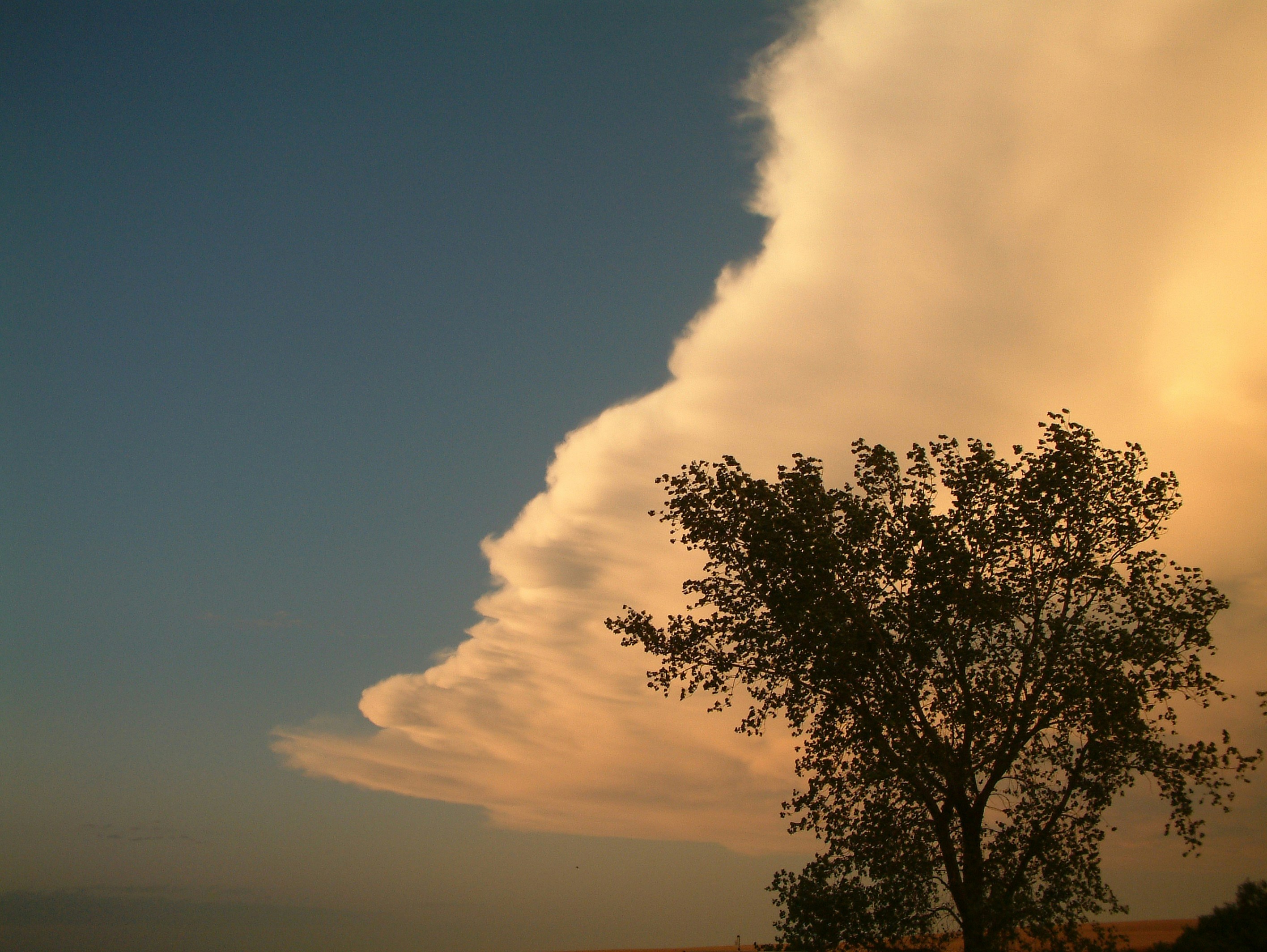 Photo by banana_nana