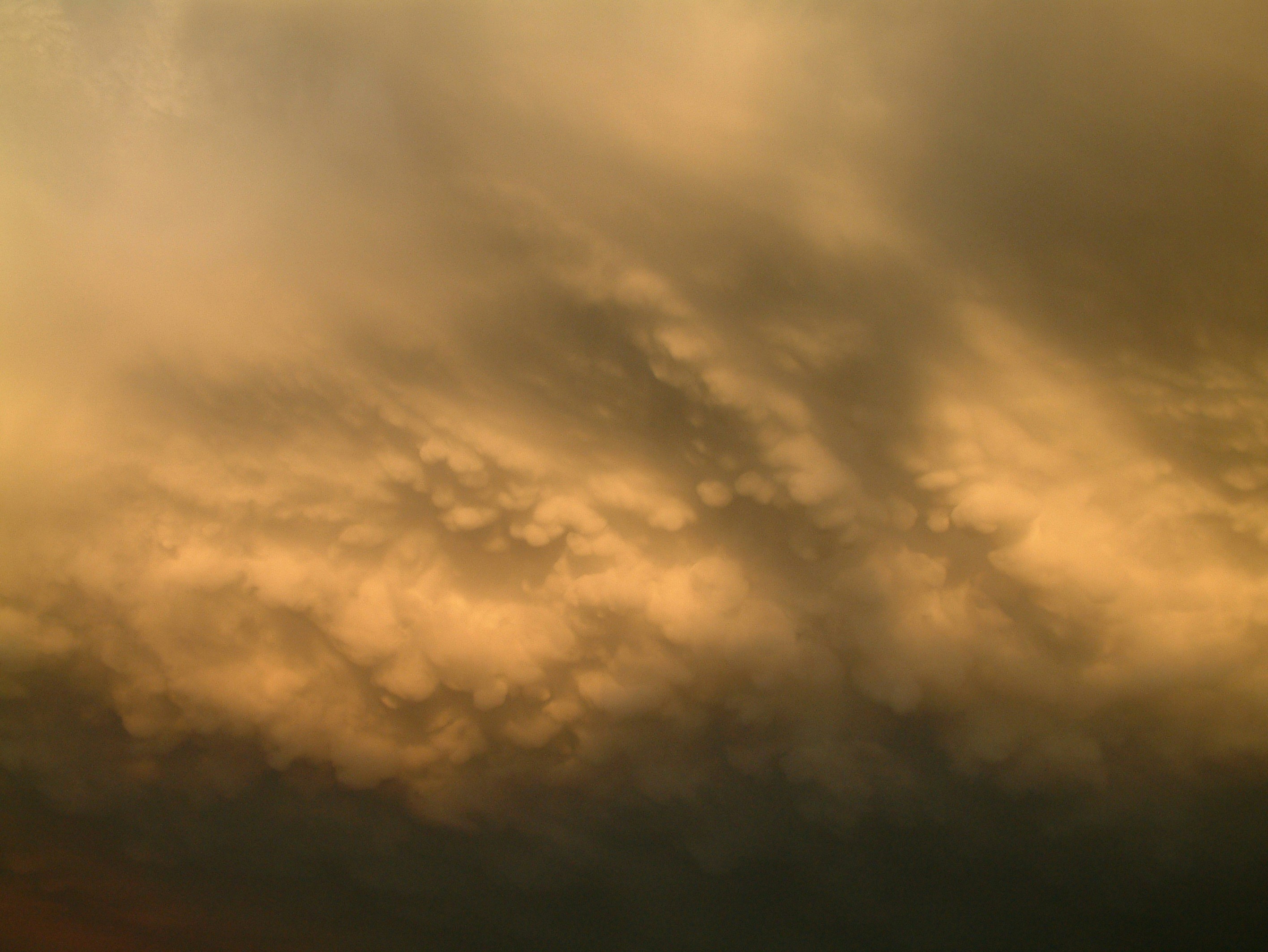 Photo by banana_nana