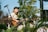 Close-up of a smiling woman enjoying an acoustic guitar performance outdoors.