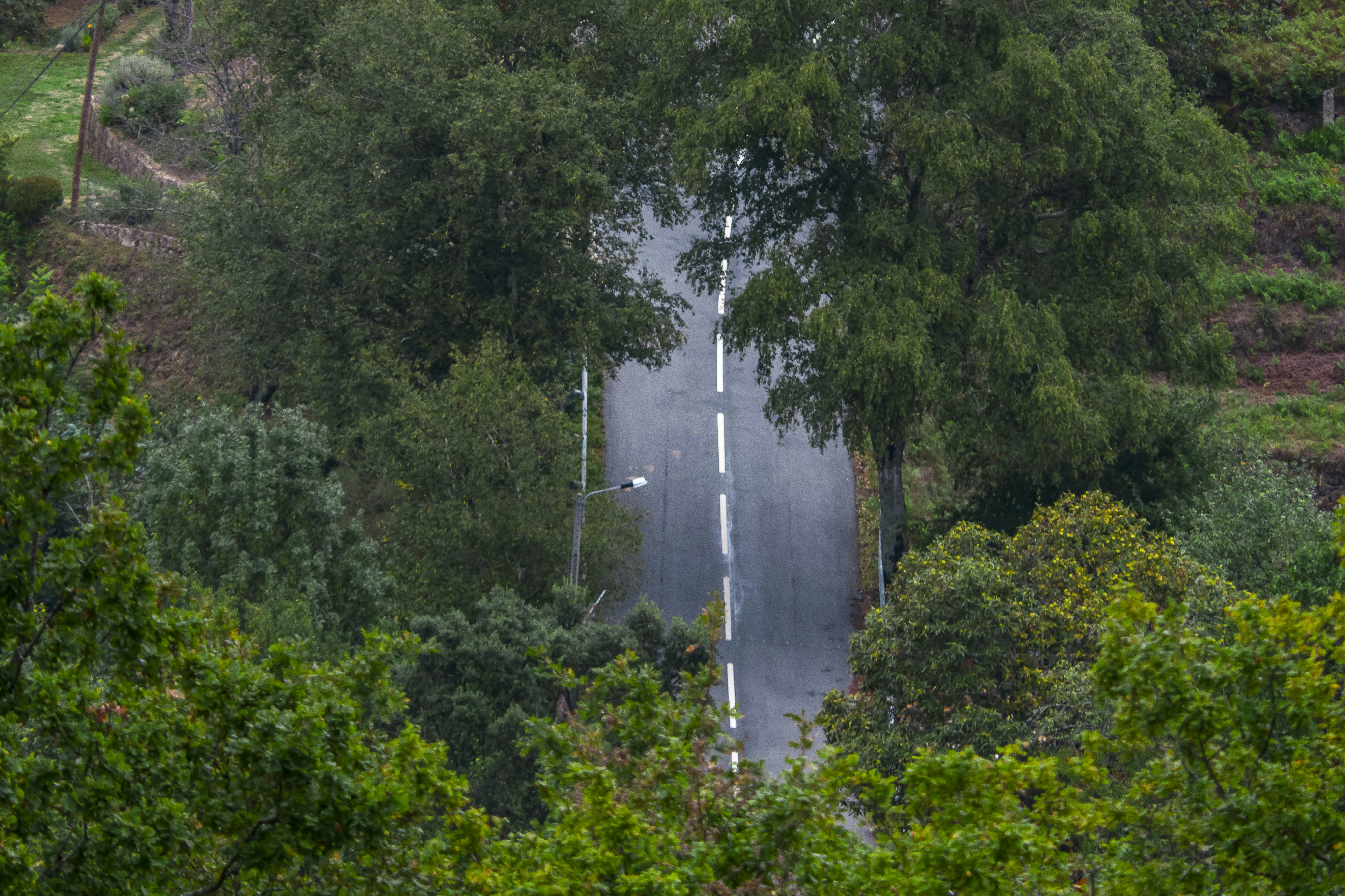 aerial photography of concrete road at daytime