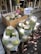 A market stall displaying a collection of fresh coconuts in two clear plastic bags and an open crate. The coconuts are ready for drinking, with their tops cut off. A sign indicates a price of 25, possibly in a local currency. In the background, a tray holds a watermelon and bunches of bananas next to yellow mangoes, all placed on white stools near the entrance of a shop.