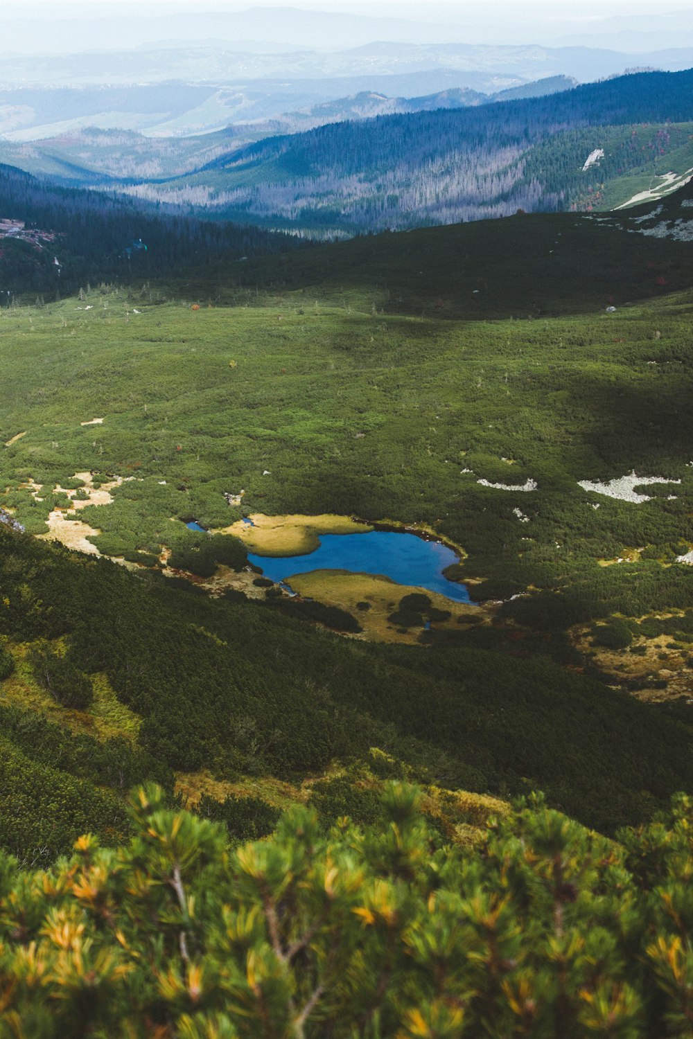 bird's eye view of a pond