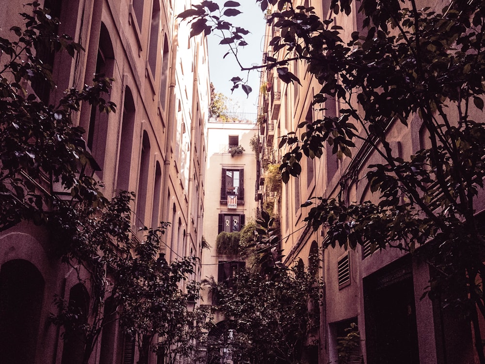 white concrete building at daytime