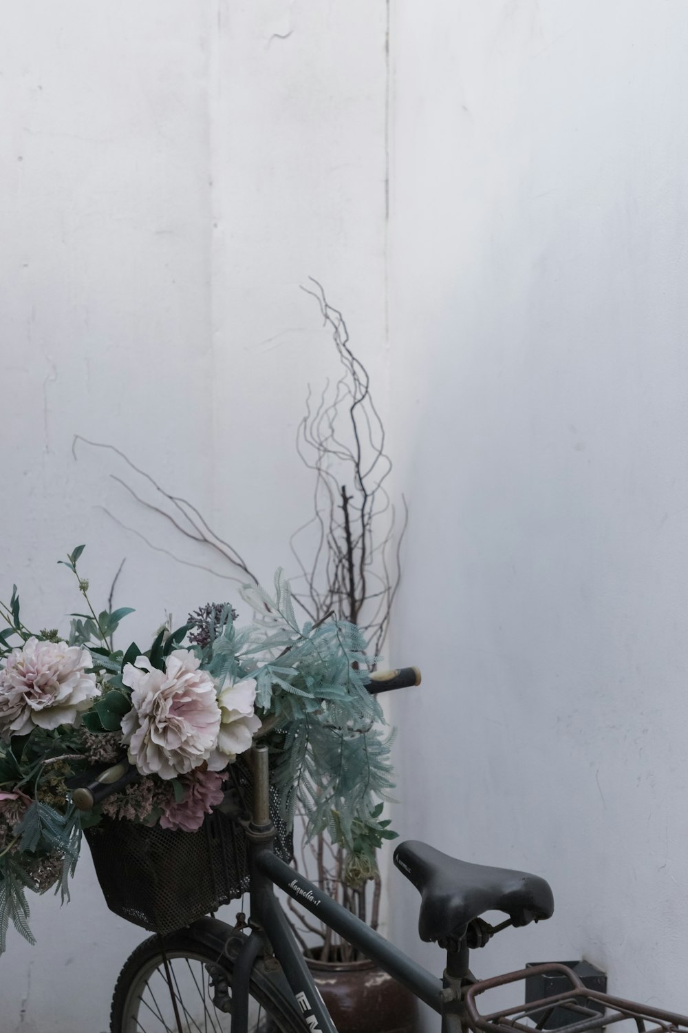 white petaled flowers on pot