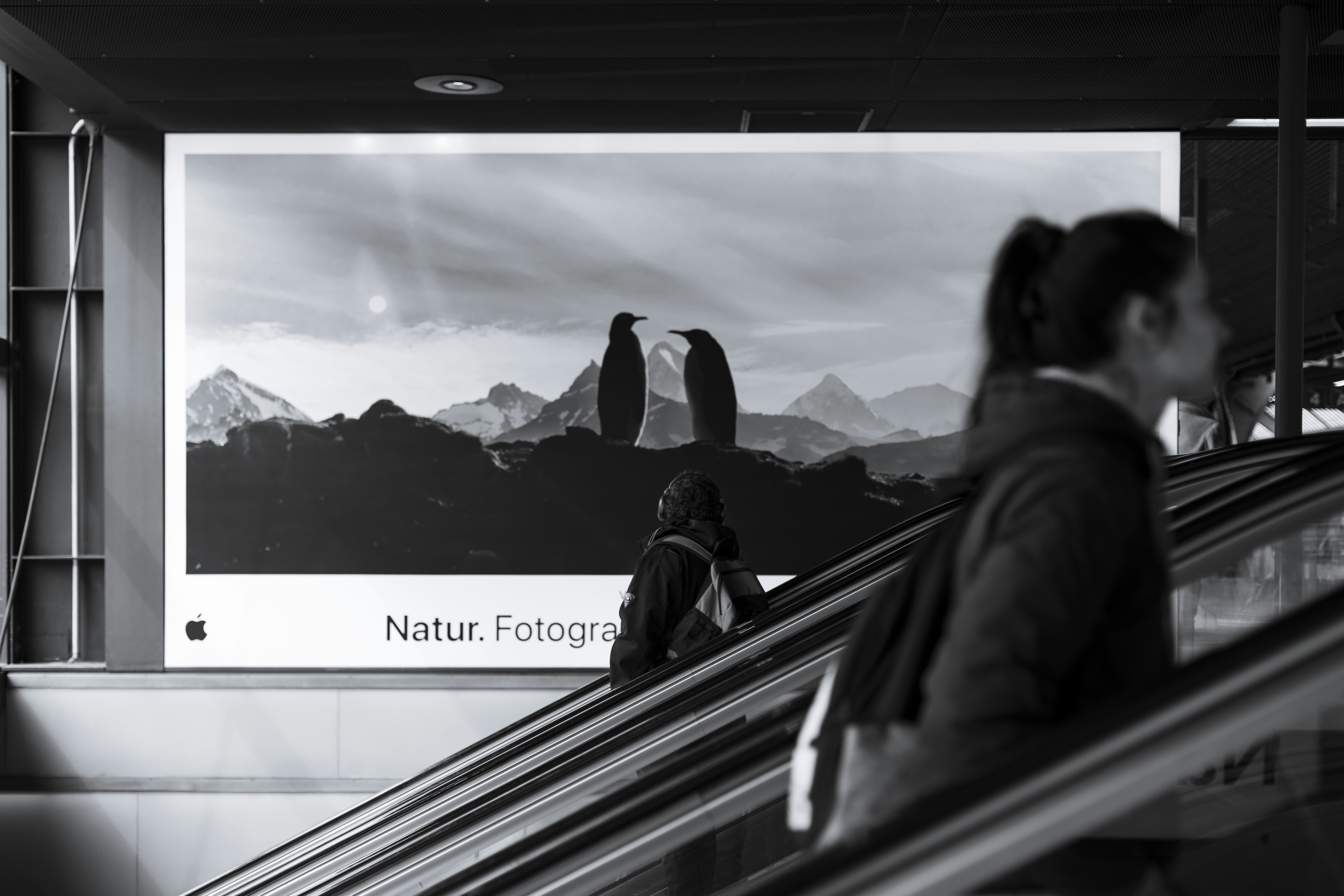 a website with accessible and inclusive design elements