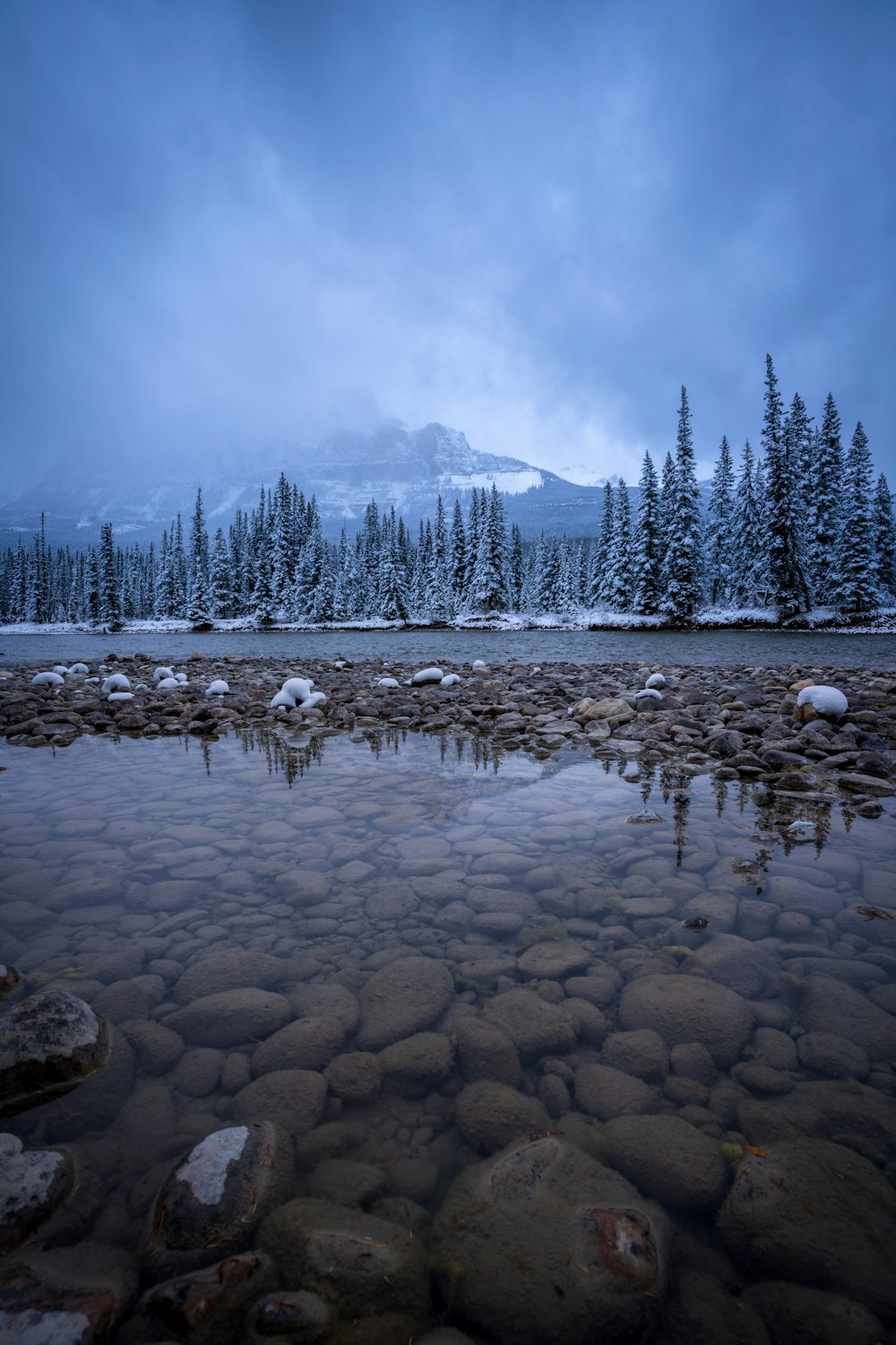 brown stones in body of water