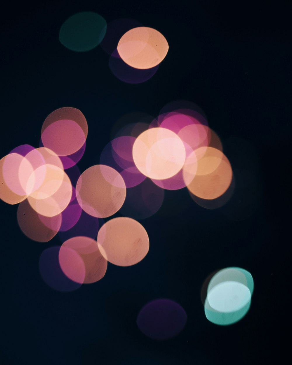 orange and pink bokeh lights