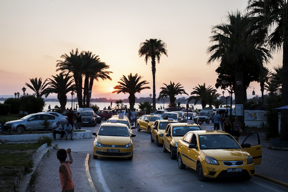 yellow taxis parked in line
