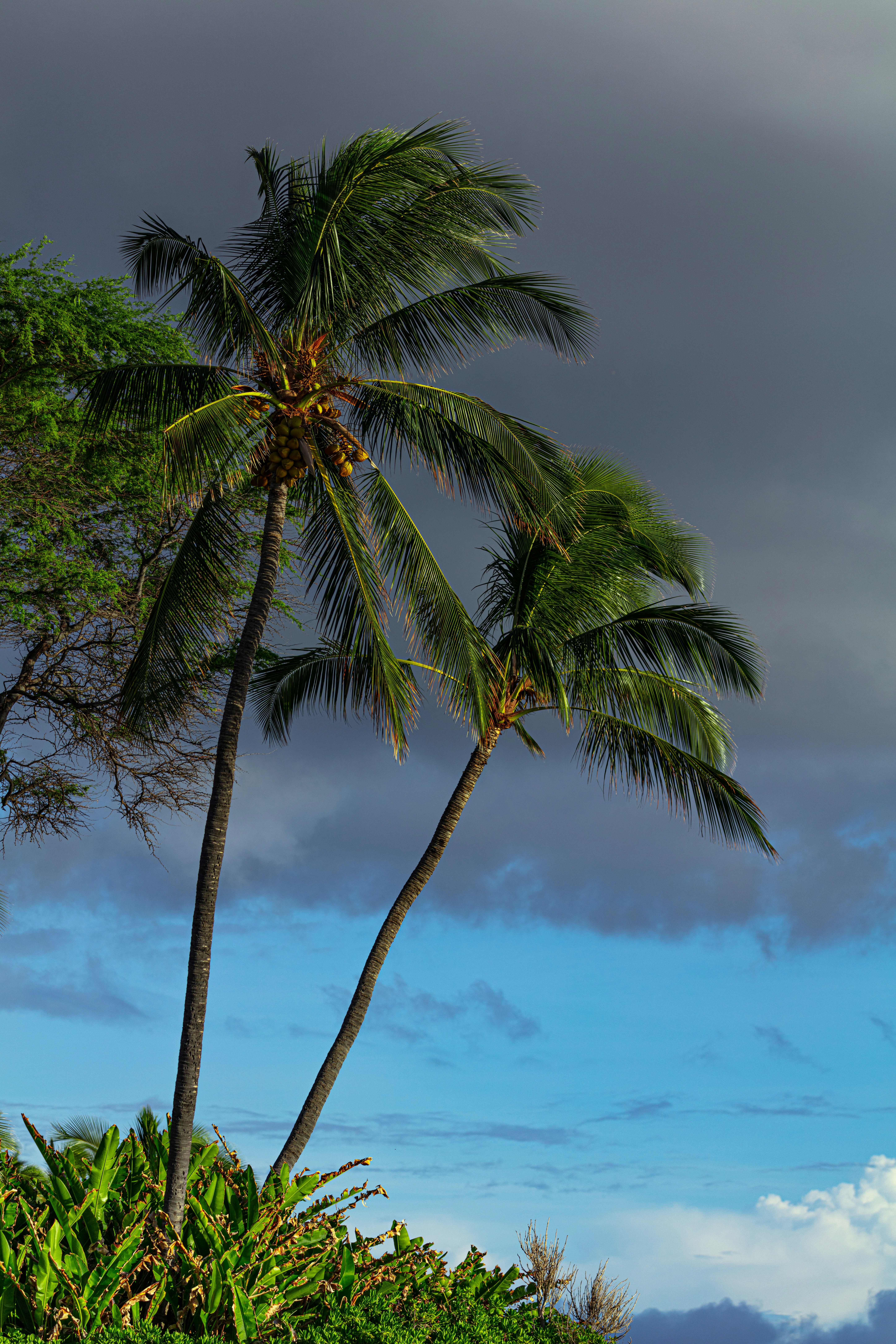 Photo by worldsbetweenlines