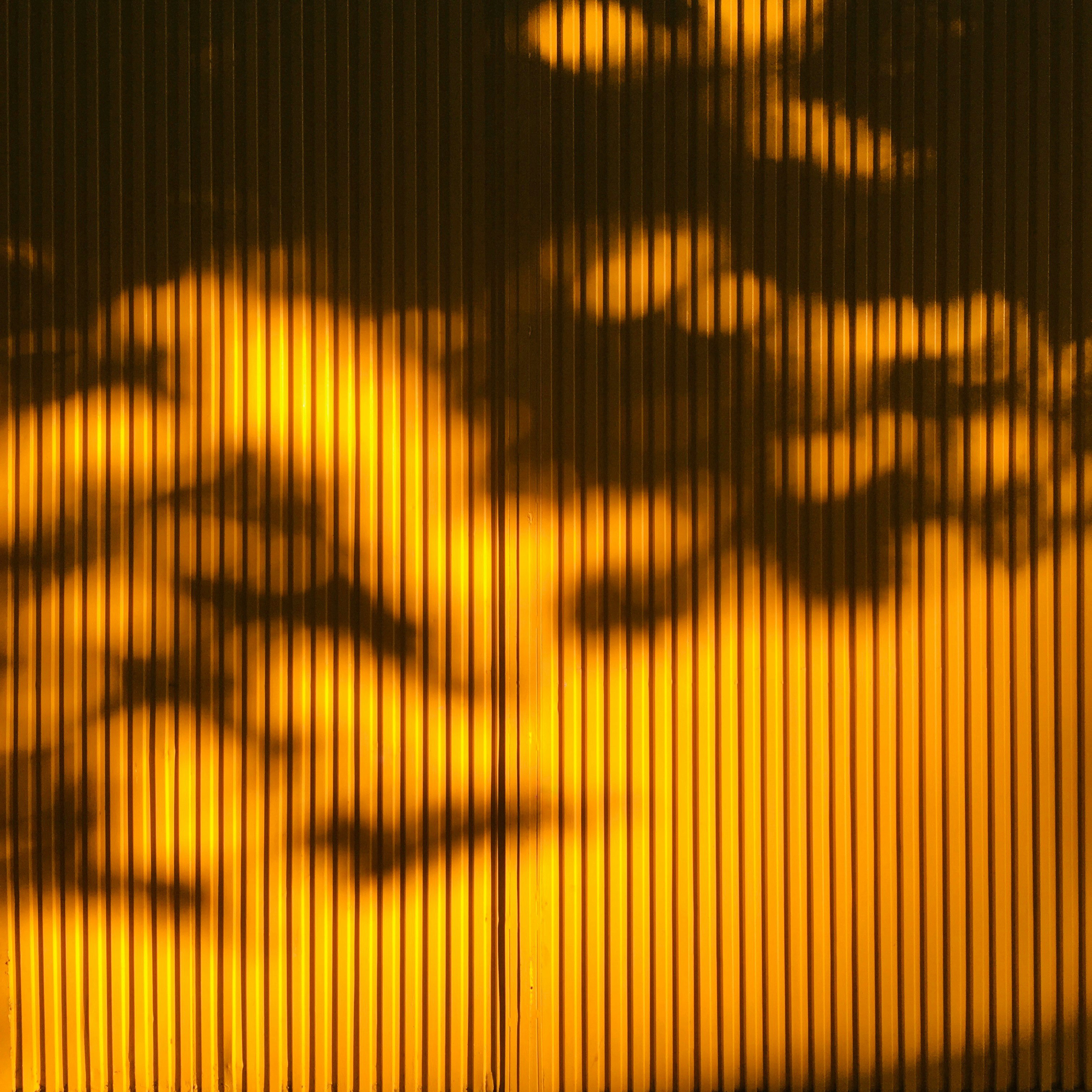 Photo by davidpisnoy