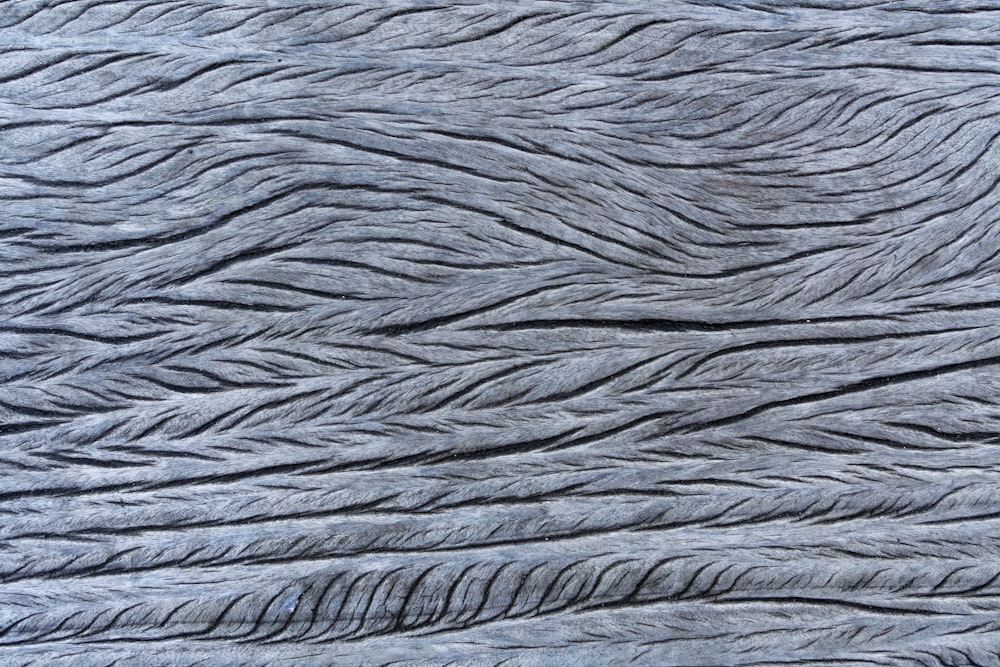 gray wooden surface