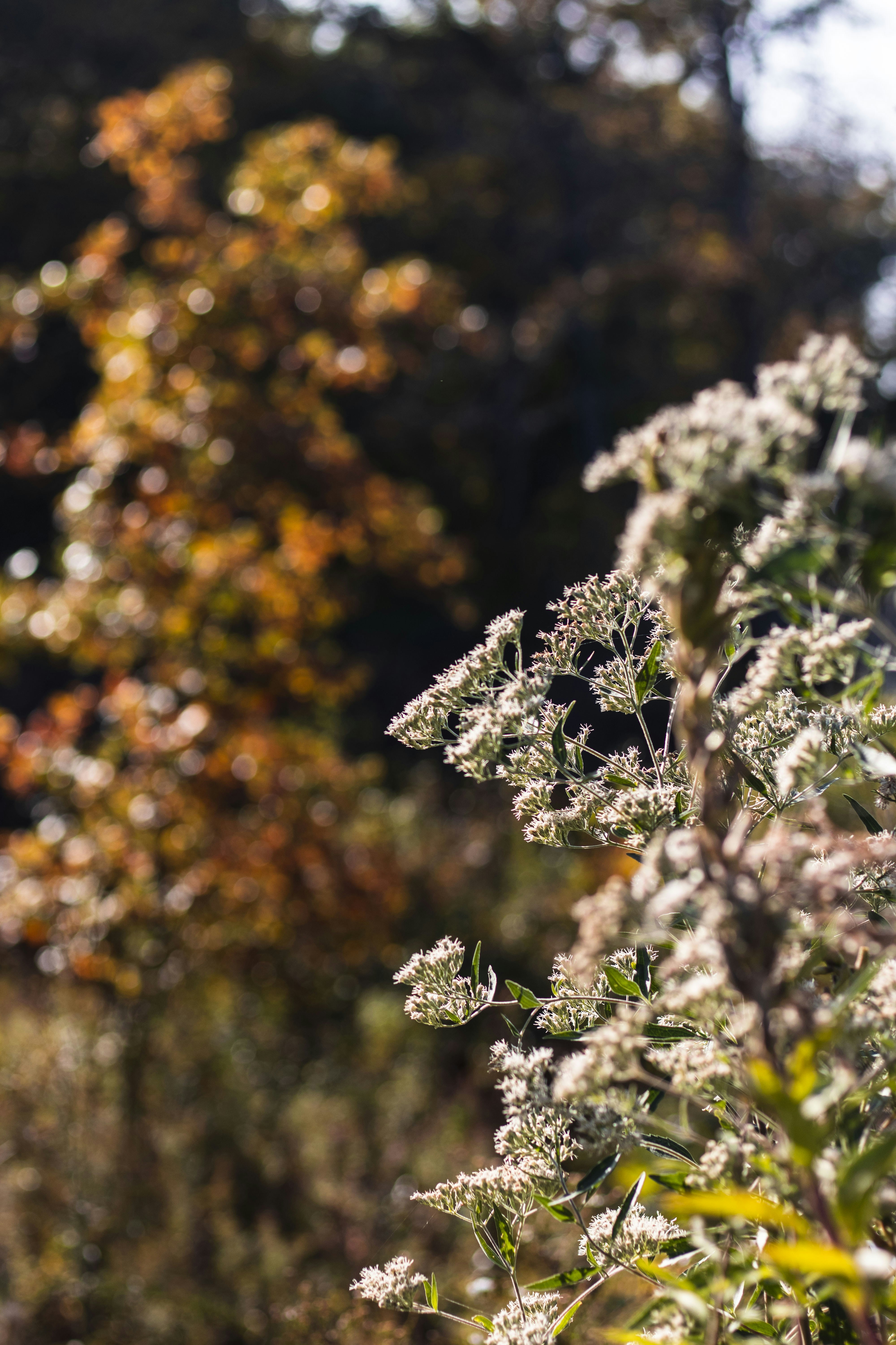 Photo by thevibrantmachine