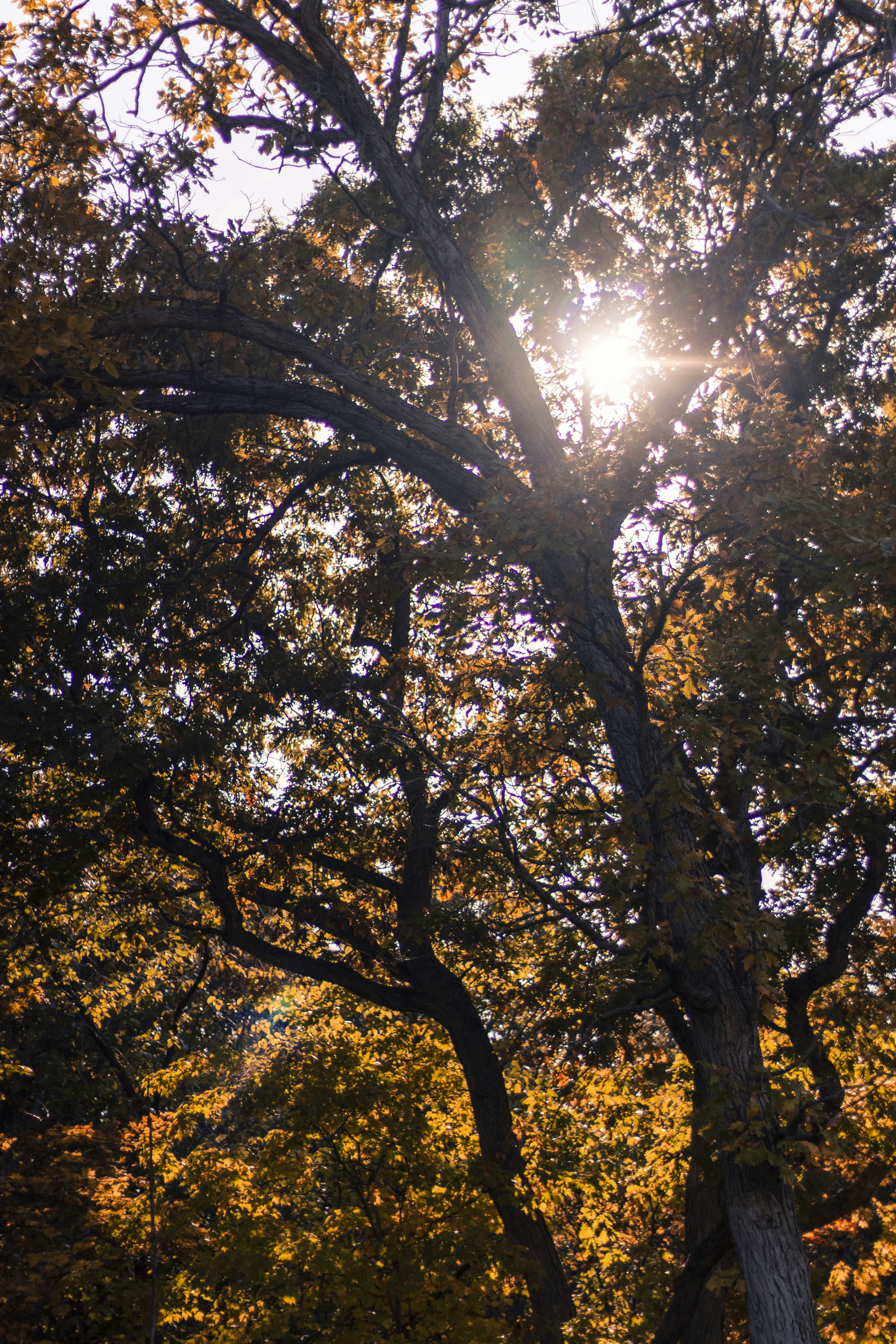 Photo by thevibrantmachine