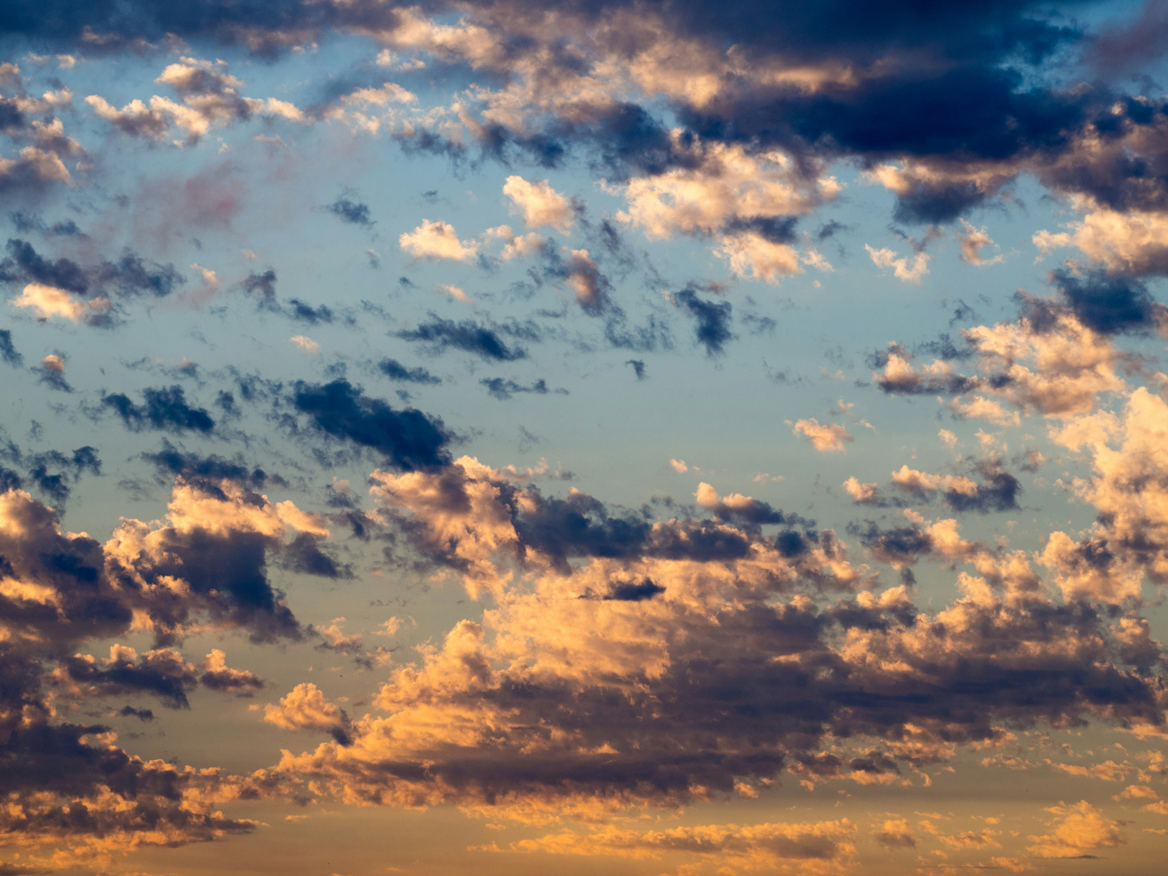 white and grey clouds