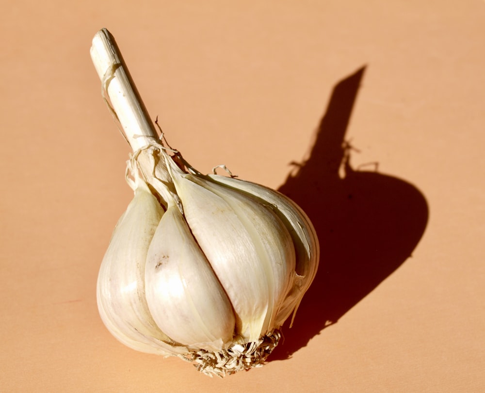 garlic on orange surface