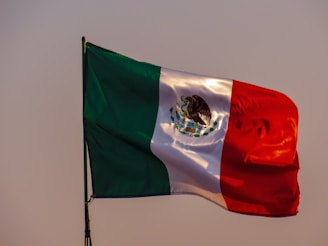 A flag with vertical stripes of green, white, and red, featuring an emblem with an eagle holding a snake in its beak and talon on the middle white stripe. The flag is blowing in the wind against a clear sky.