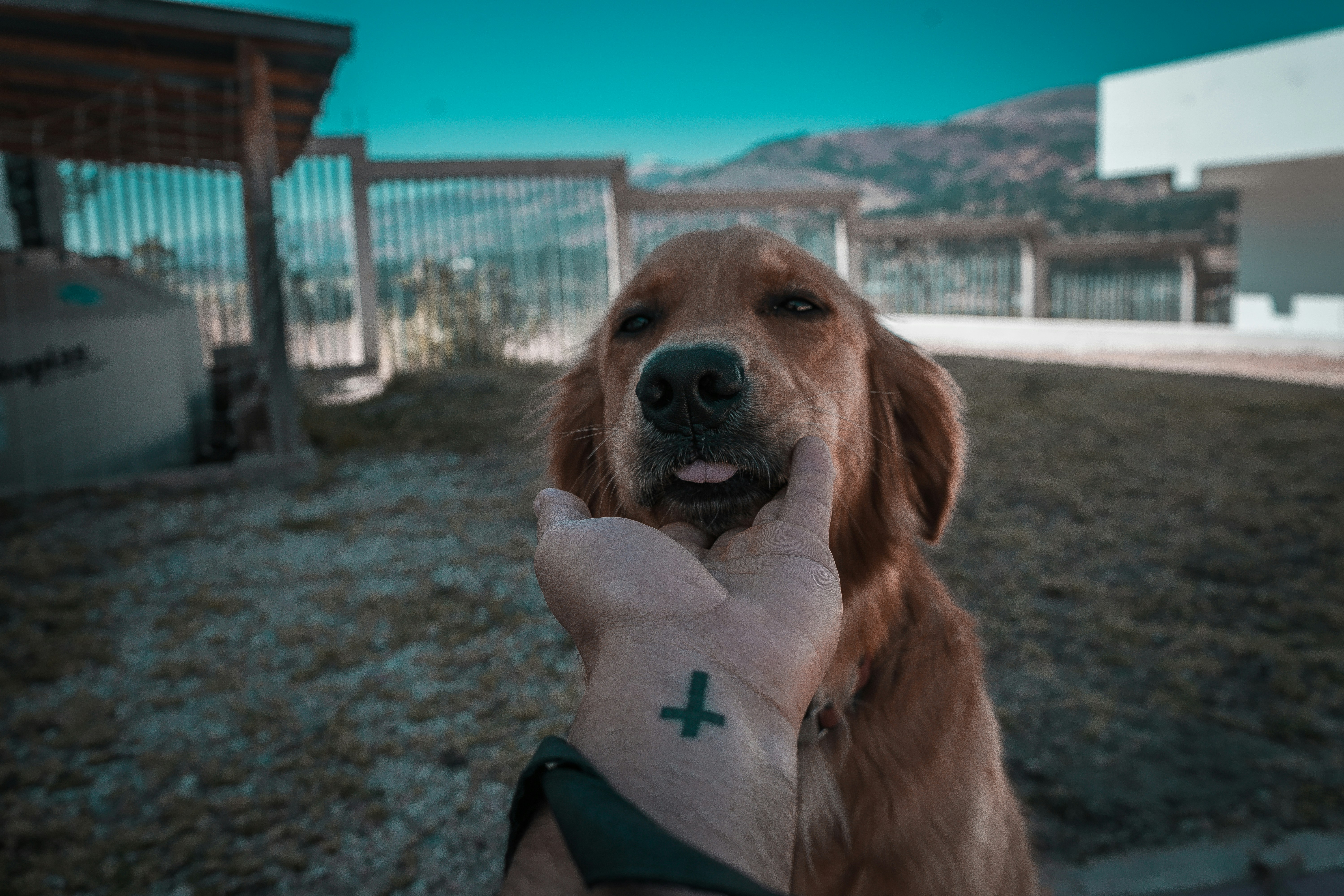 Sunset mountains with blue and yellow sky