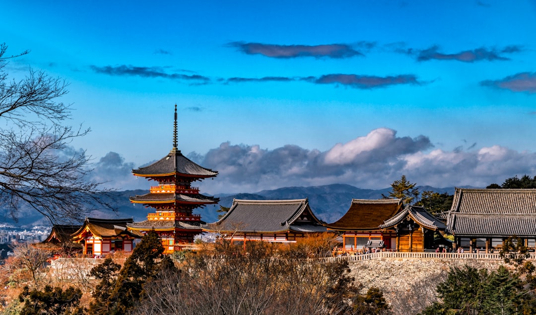 brown and gray pagoda scenery