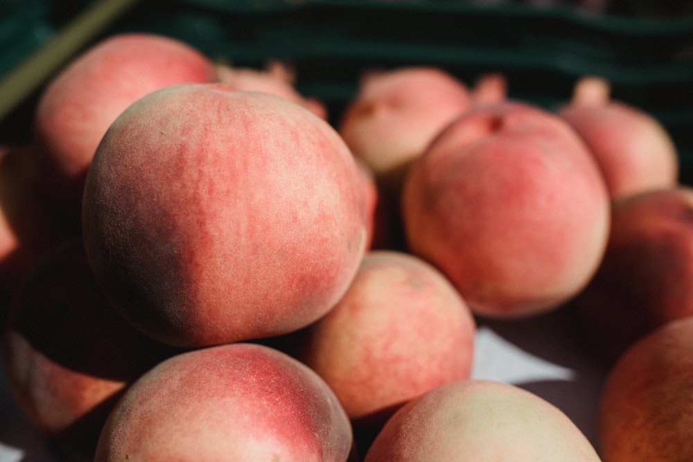 red apple fruits close-up photography