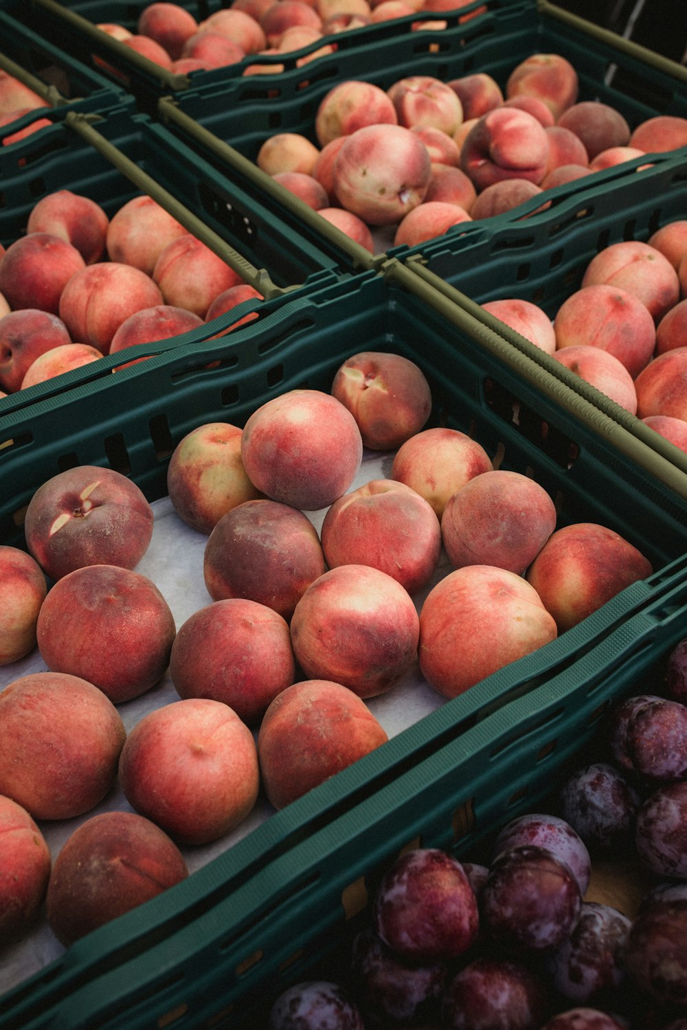 red apple fruits in green basket close-up photography