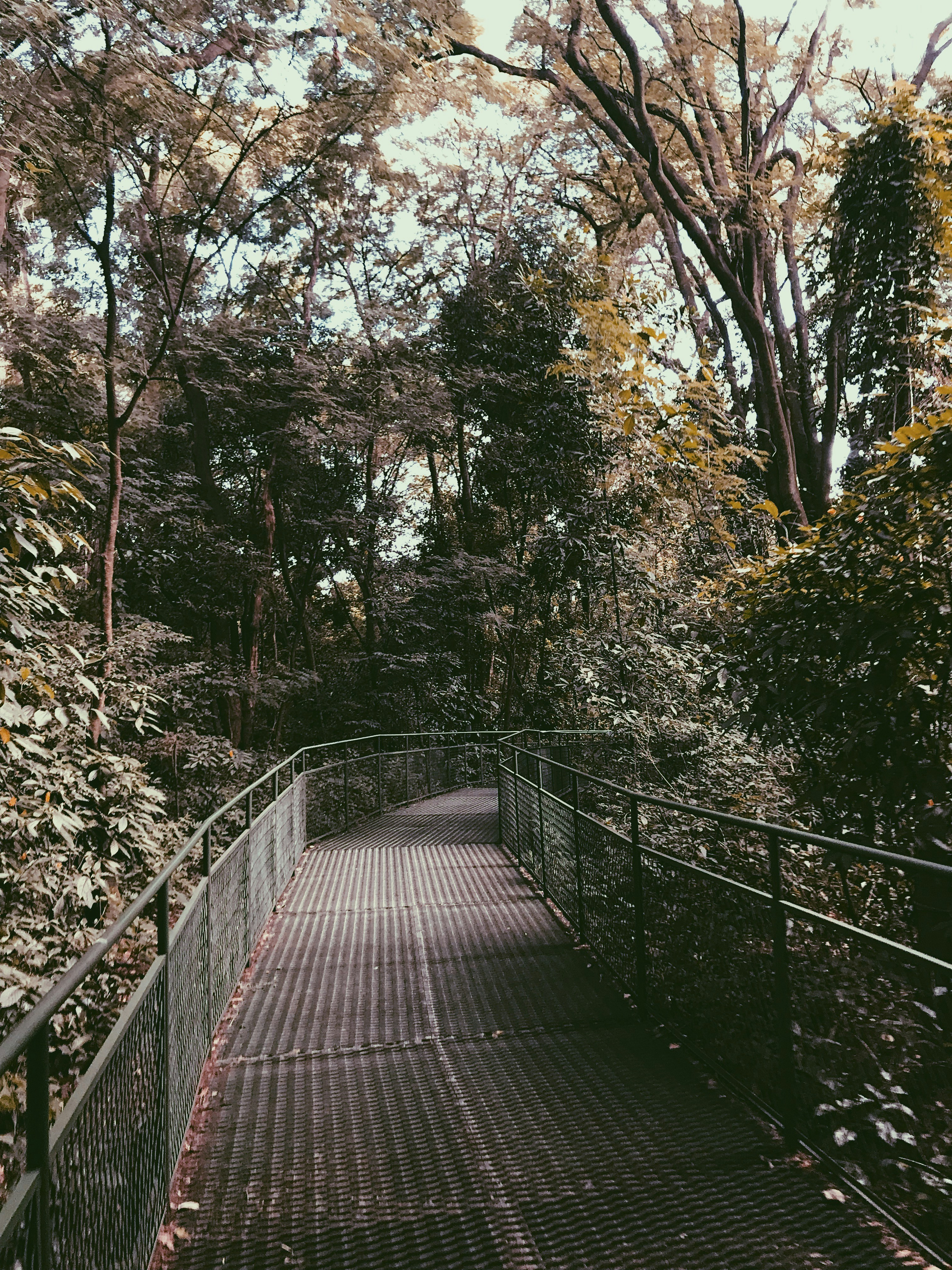 Photo by victorrutka