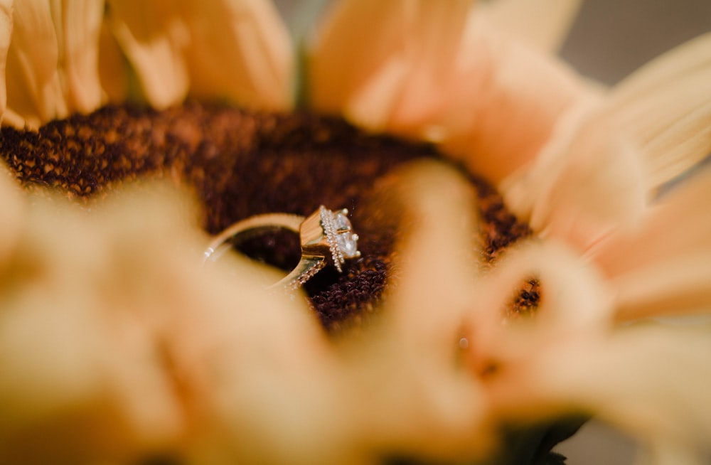 silver-colored clear gemstone ring