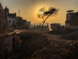 Sunset view over an empty land plot ready for development.