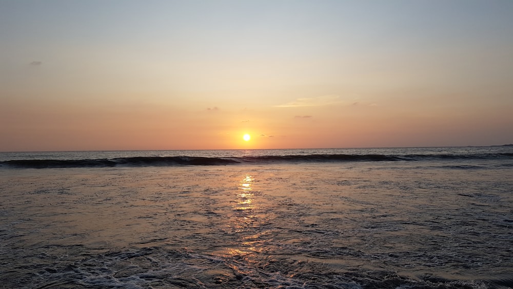 seashore during golden hour