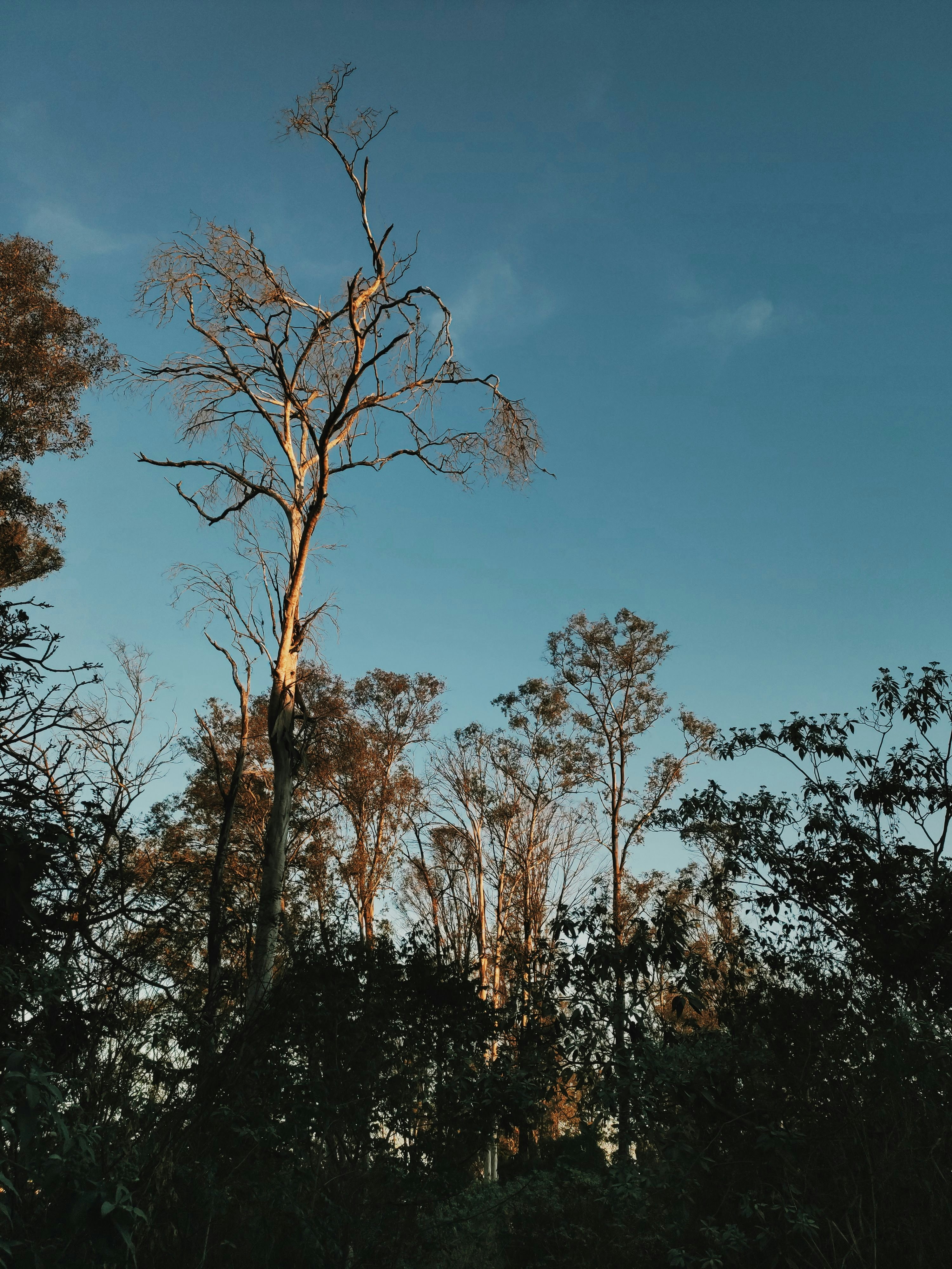 Photo by avidadovi