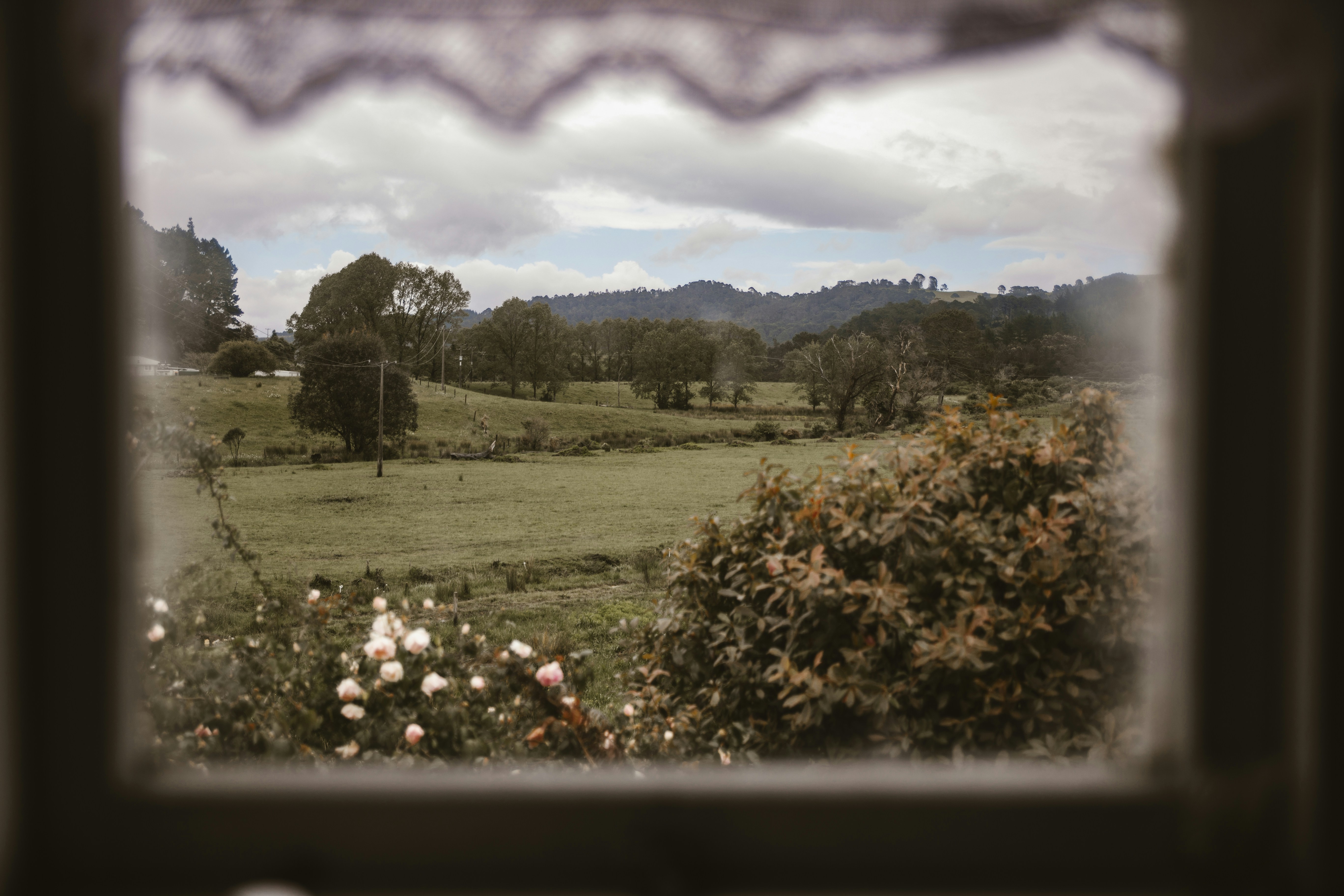 Photo by samantharam