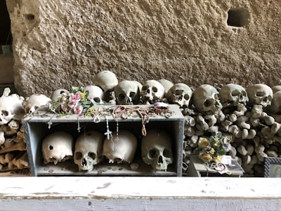 A collection of human skulls and bones is arranged in an orderly fashion against a rough, stone backdrop. Several skulls are placed inside a box, adorned with rosaries, flowers, and other small offerings or memorabilia. A bouquet of artificial roses is visible alongside the skulls, adding a poignant touch.