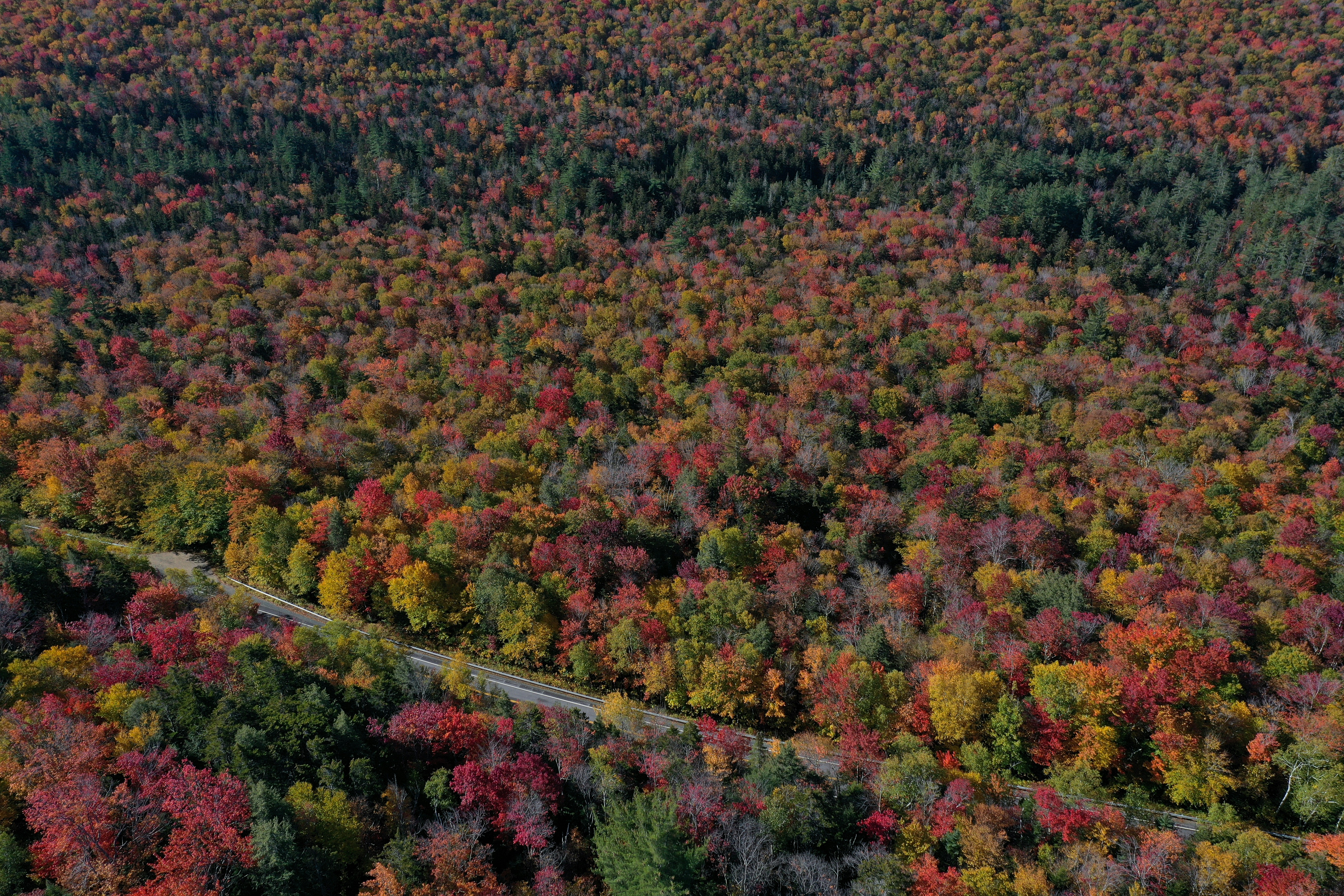 Fall Foliage, Kancamangus Highway, NH