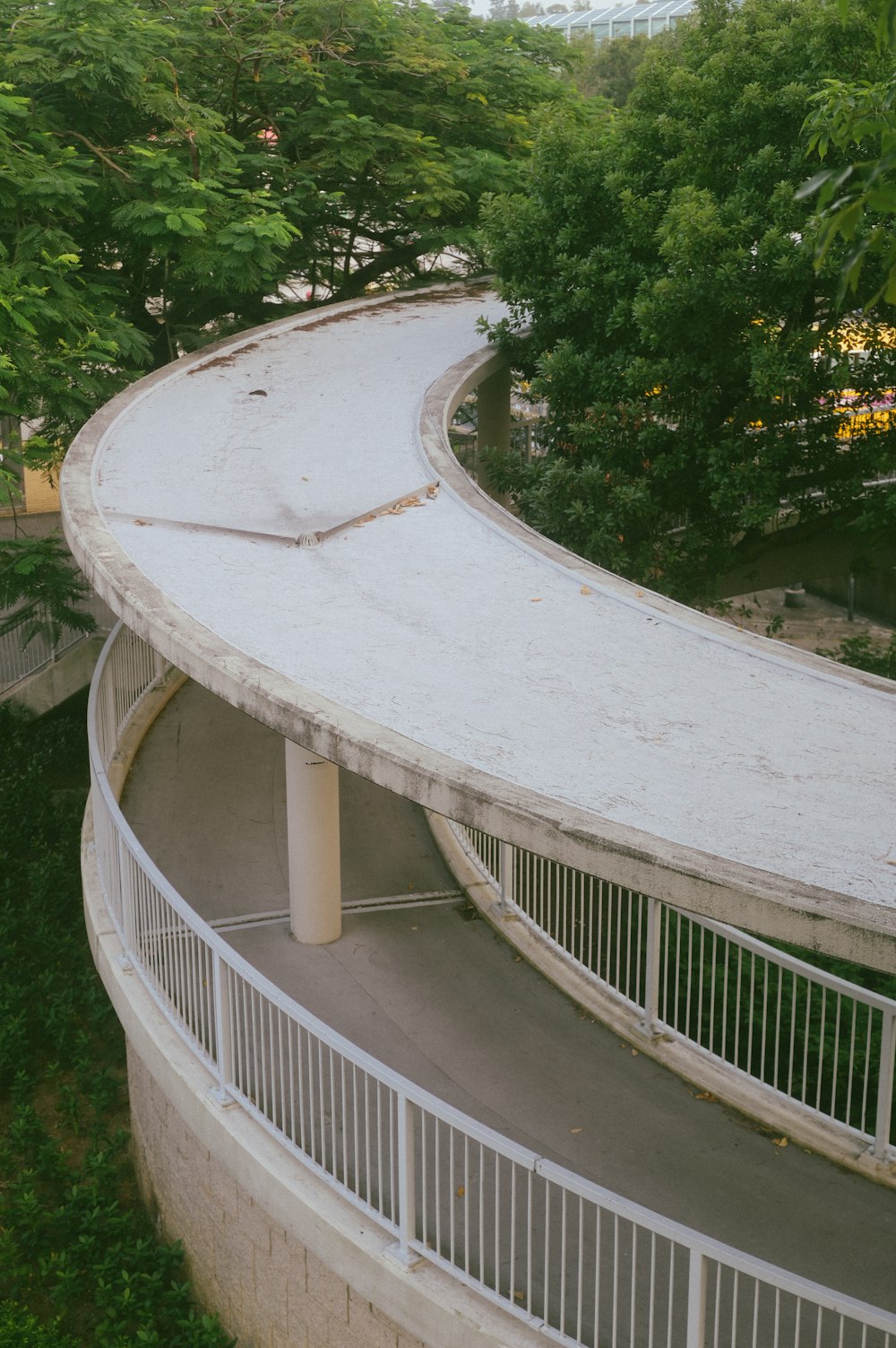 gray cement walkway