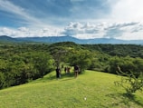 A vibrant group trekking through lush green hills under a clear blue sky