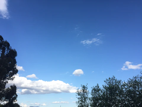 A beautiful plot of land surrounded by trees under a clear blue sky
