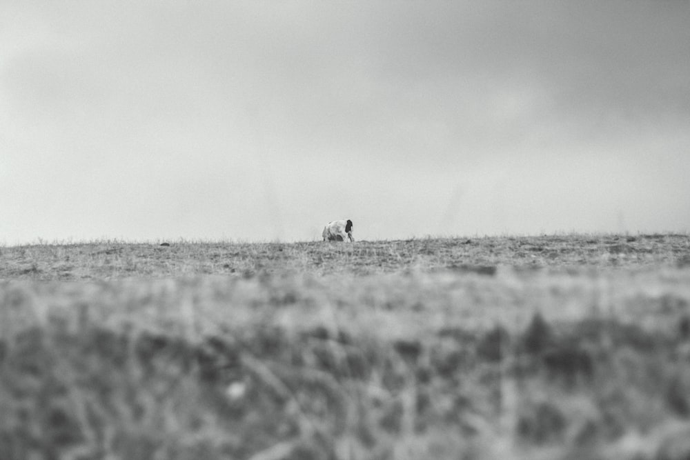 person standing on hill