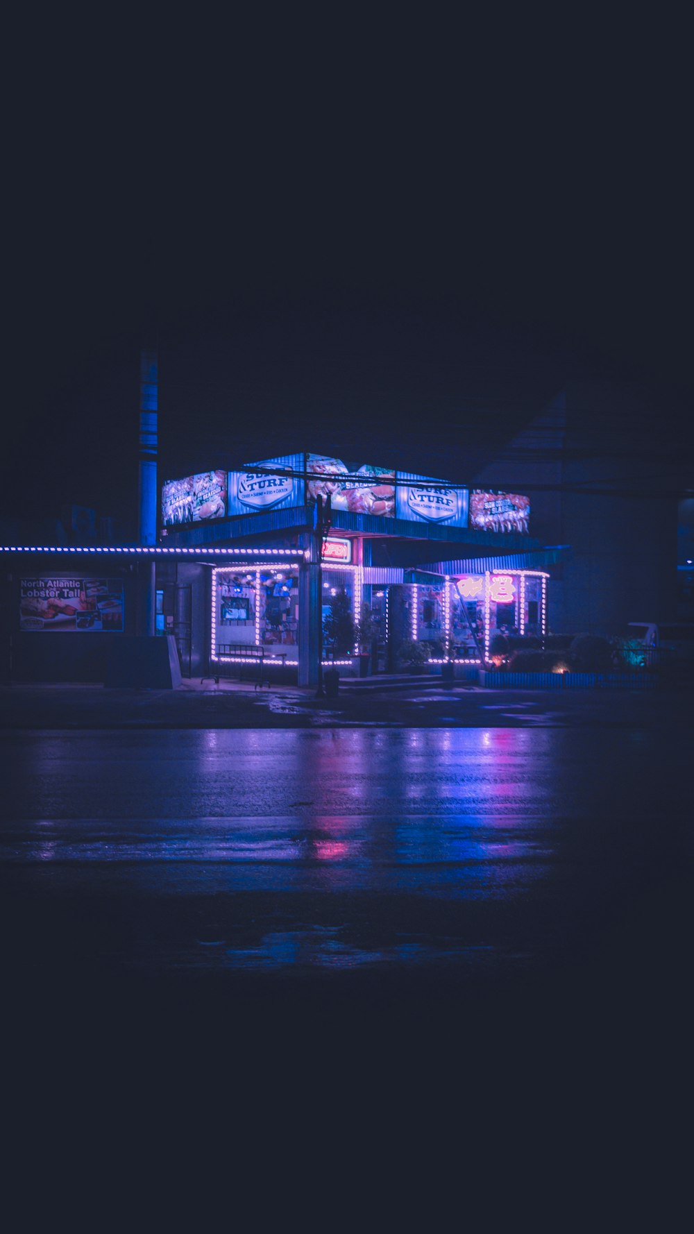 house showing lighted lamps during night time