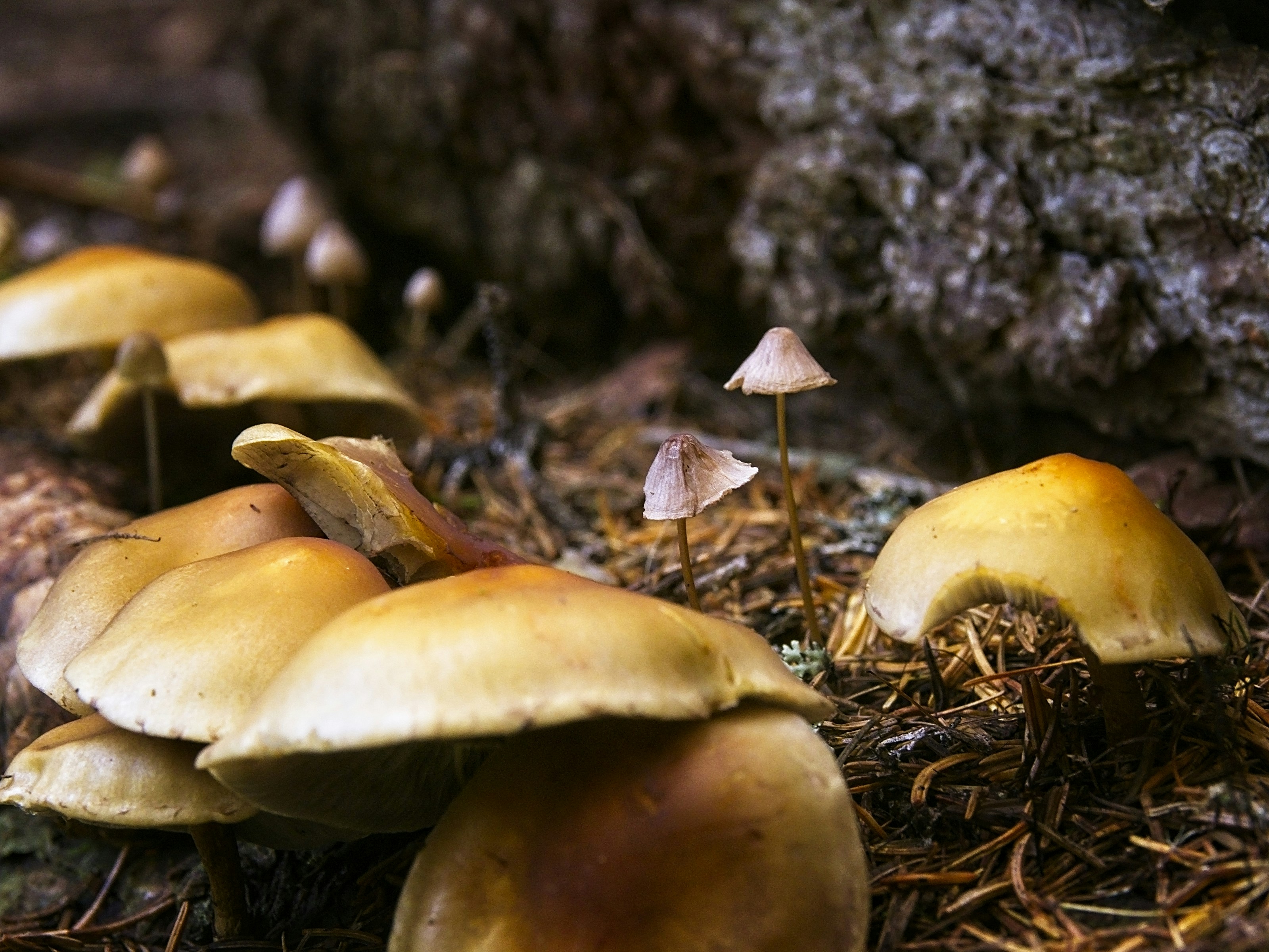 Photo by kaltenberg_mike