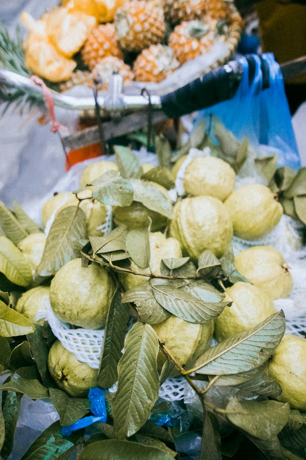 bunch of guavas on blue surface