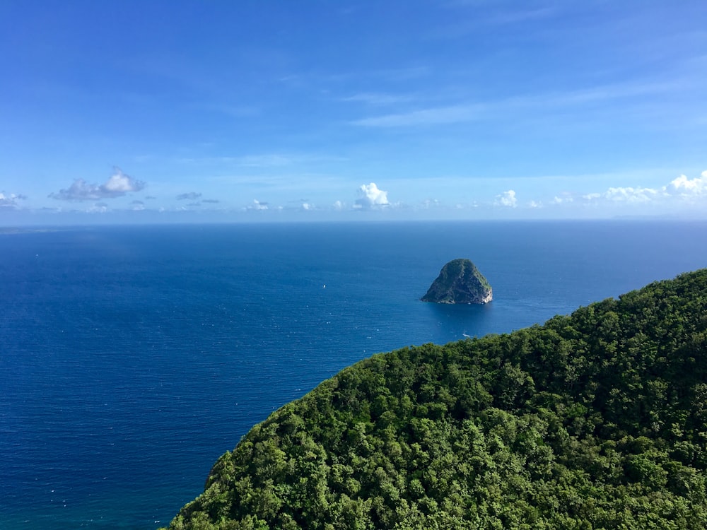 green trees island