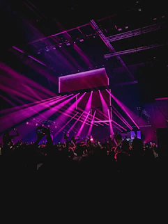 people performing on stage near partying people