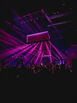 people performing on stage near partying people