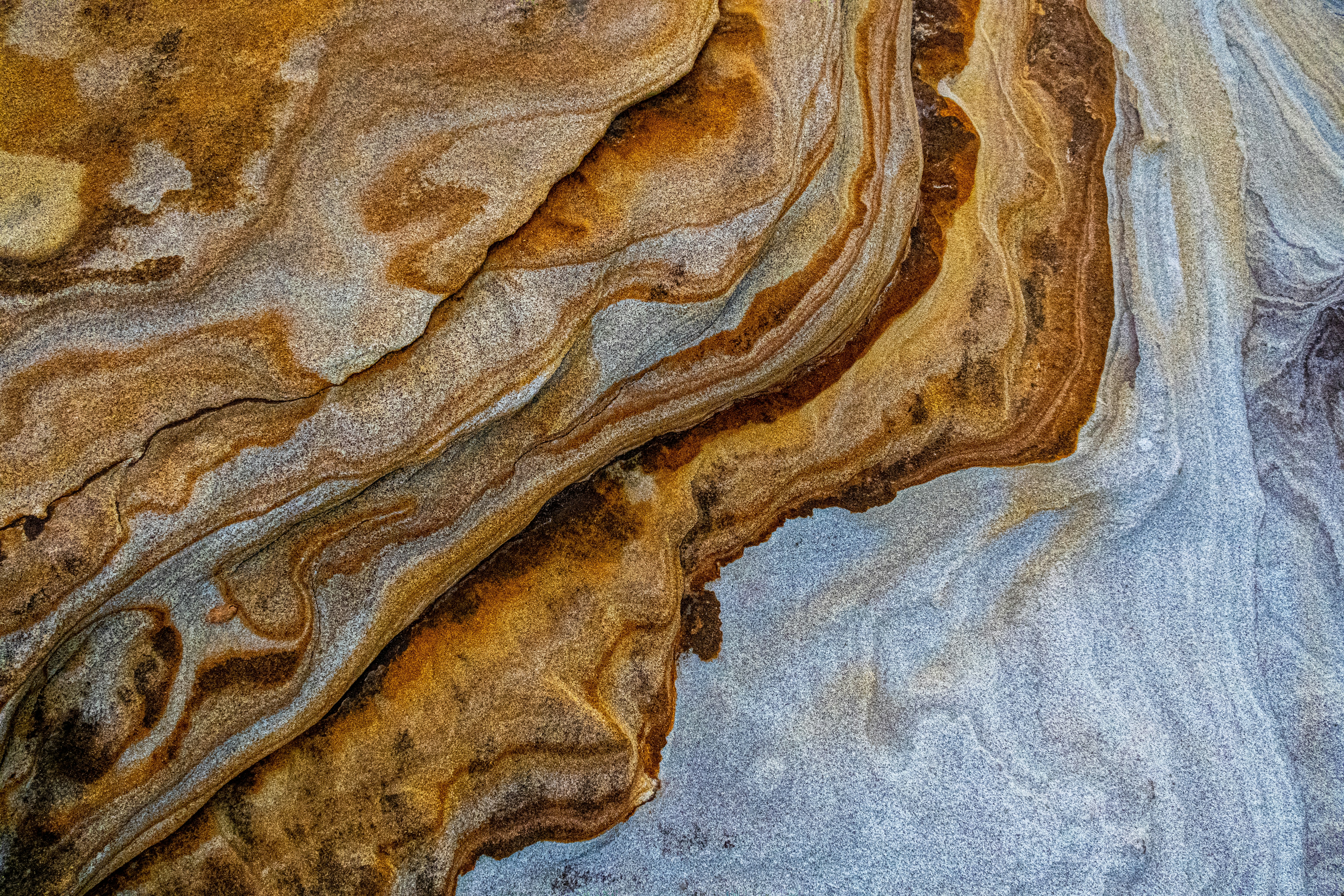 Photo by msohebzaidi